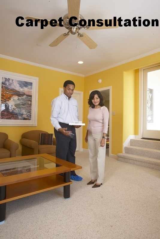 Carpet_Cleaning_Consultation.jpg